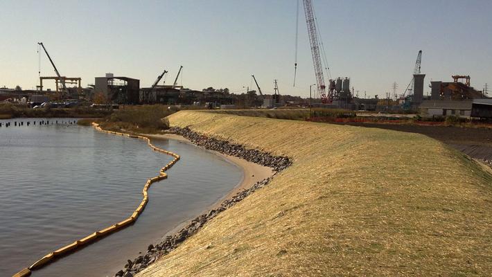 Effort along the Passaic River featuring constructed berms and protective measures to mitigate contamination and support habitat recovery.