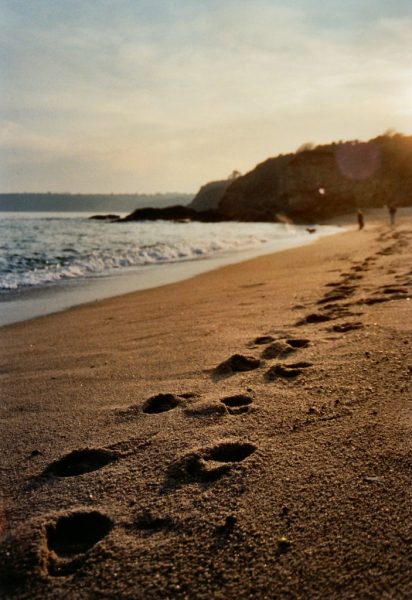 Footprints on a beach.