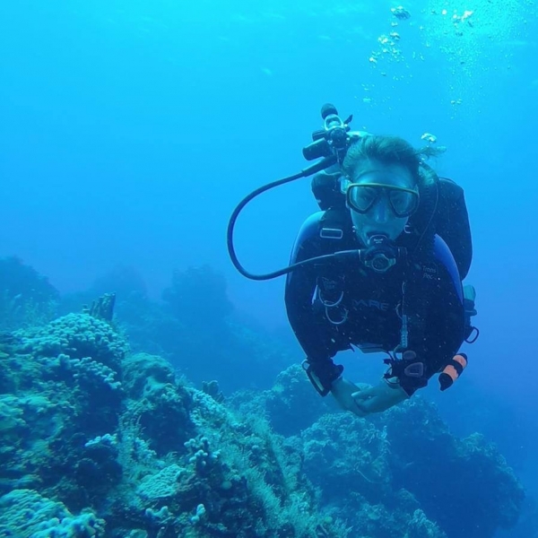 A scuba diver near some coral.