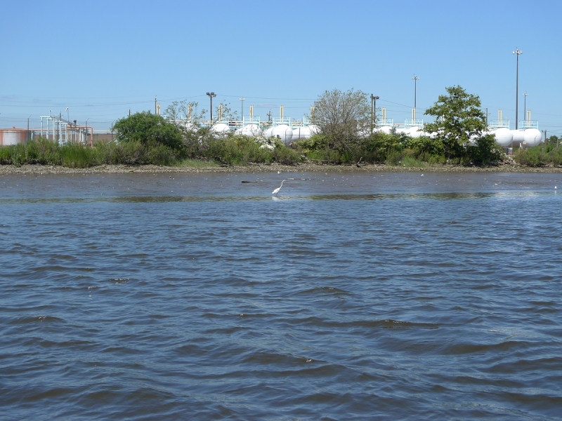 A tranquil scene along the shoreline of the Passaic River in New Jersey, with industrial infrastructure contrasting against natural habitat and a wading egret.