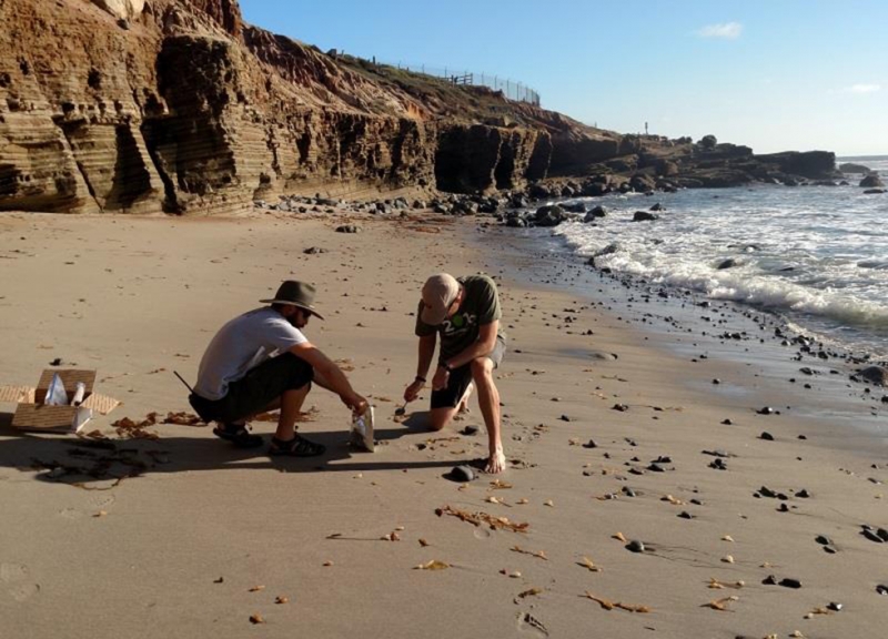 Two people crouch down on a beach collecting sand.