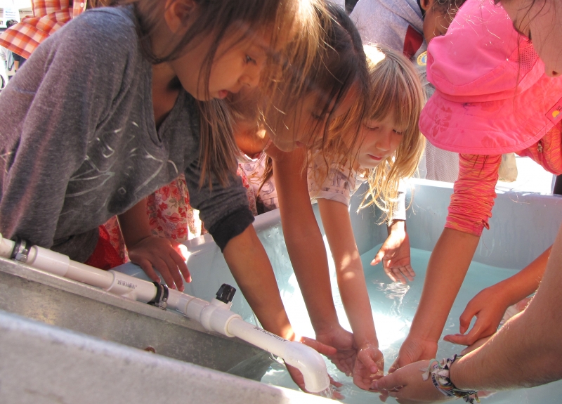 A group of children place their hands in a large tub of water.
