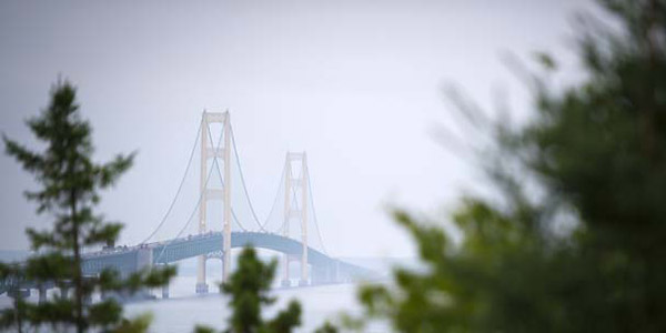 A bridge.