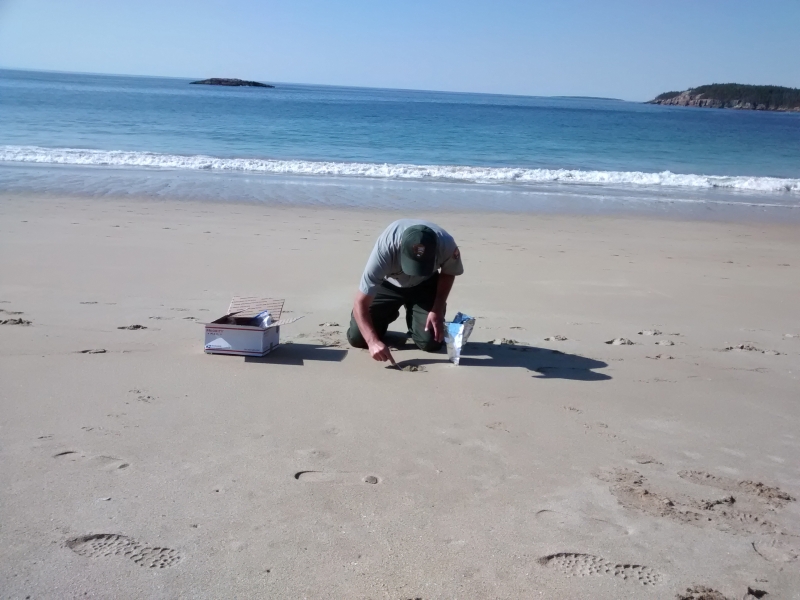 A man collects sand on a beach.