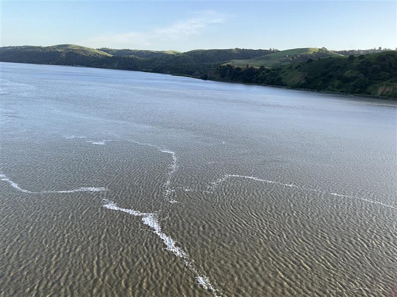 An aerial image of coastal waters with observed bright white-silver streaks through it.