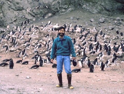 A man with a group of penguins behind him.