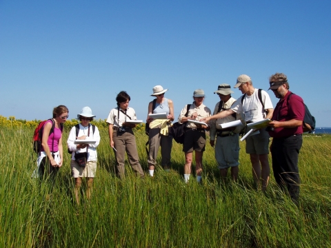A group of people in tall grass looking down at their notebooks. 