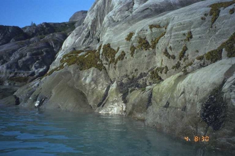 A rocky shoreline.