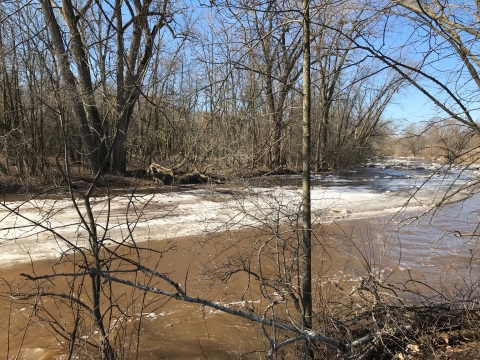 A winter river scene. 