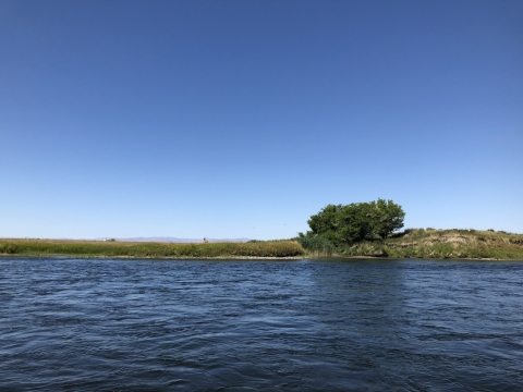 A river.