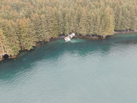 A grounded vessel on a tree-lined shoreline.