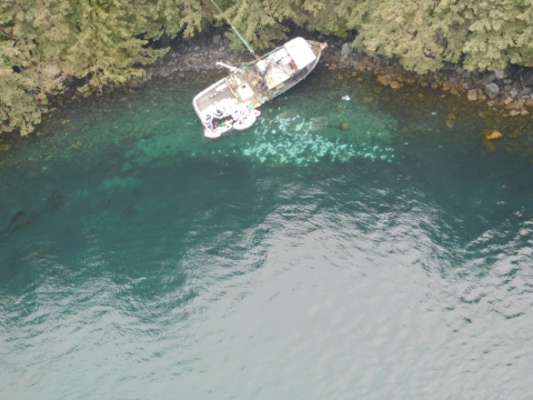 A grounded vessel on a tree-lined shoreline.