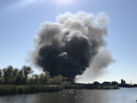 A smoke plume coming from a marsh.