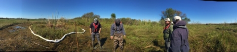 Four people standing in a marsh with pollution boom.