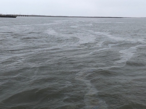 An oil sheen in a body of water. 