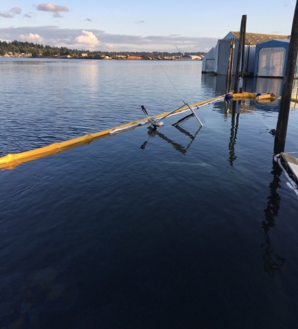 The windshield of a boat is visible of the surface of the water, surrounded by pollution boom.