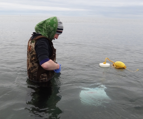 A woman in waist-deep water.