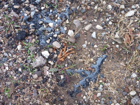 Tar coming from the ground. 