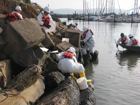 Cleanup workers on a rocky beach.