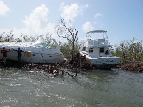 A group of people looking over one of two vessels grounded in a mangrove.