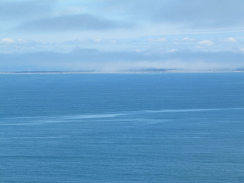 An oil sheen in water.