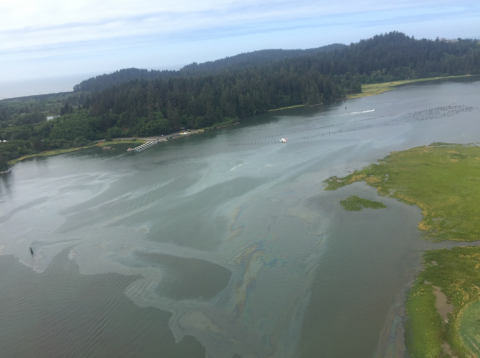 An aerial view of an oil sheen. 