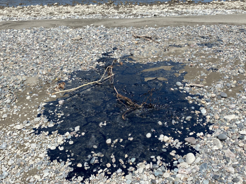 Dark black spill on rocky ground.