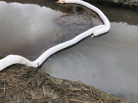 Pollution sorbent in water with oil.
