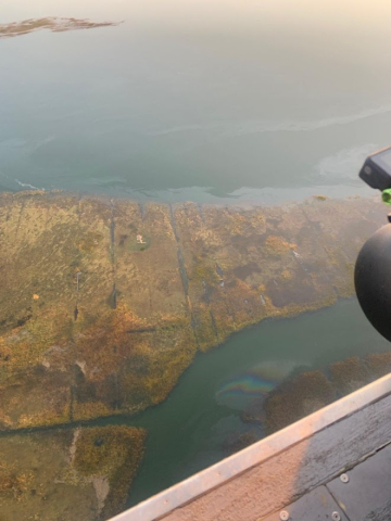 An aerial image of an aerial sheen along a shoreline.