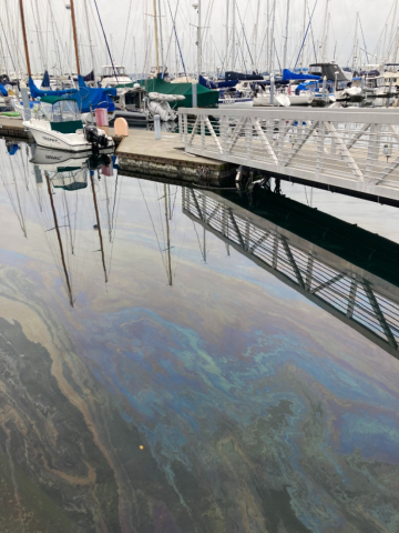 An oil sheen in water.