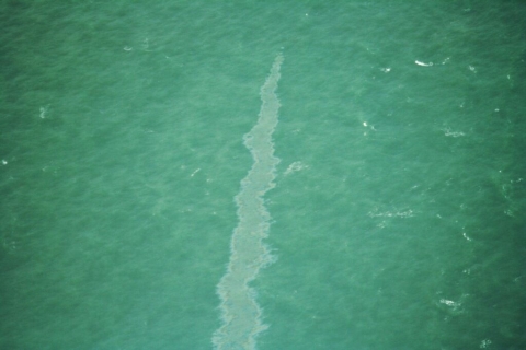 A close up shot of an oil sheen. 