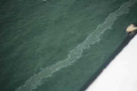 An oil sheen on water. 