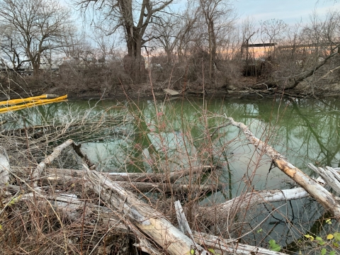 A ditch filled with a green liquid. 