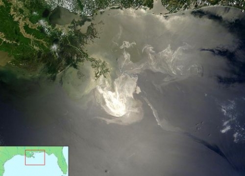A satellite image of an oil spill in the Gulf of Mexico. 
