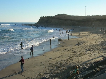 People fishing on a beach. 