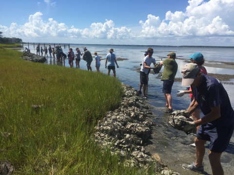 A line of people around a shoreline.