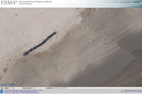 An aerial ERMA image depicting a black line on a shoreline.
