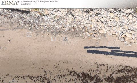 An ERMA screenshot of the simulated oil swaths on the beach. 