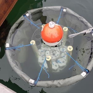 The DEEAR in water.