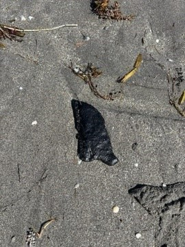 Tarball on a South Florida beach.