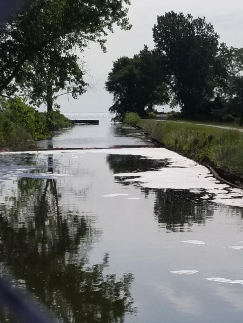 Foam on a canal surface. 
