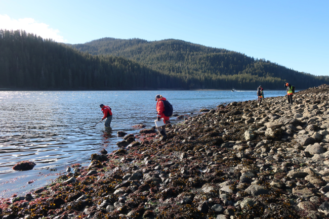 People on a rocky beach.