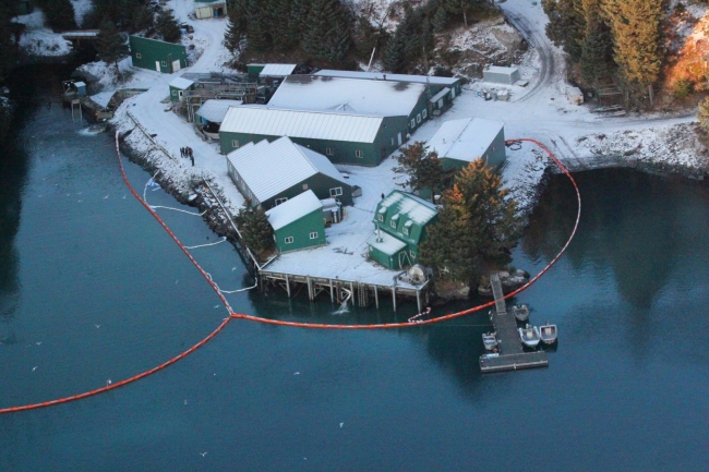 An aerial view of pollution boom along a shoreline with buildings. 