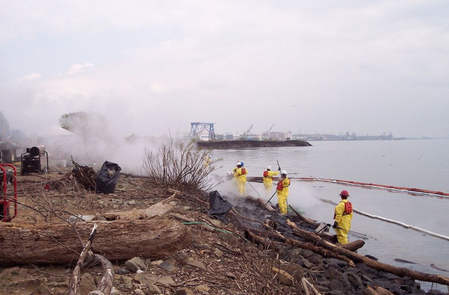 Cleanup workers on a beach.