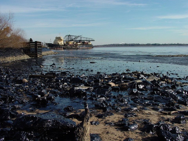 An oiled beach.