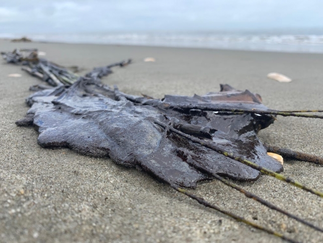 Oil on a beach. 