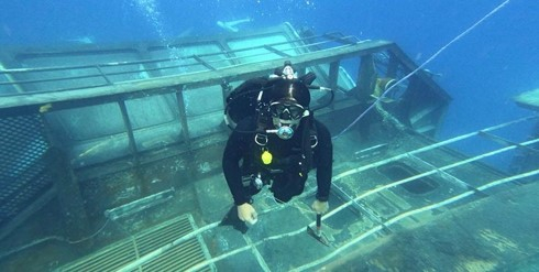A diver swims above the wreck of a vessel.