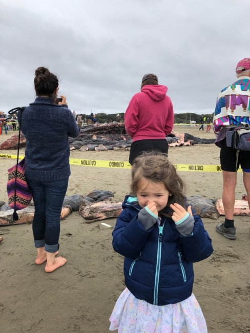 A little girl crying with people standing around pieces of blubber in the background. 