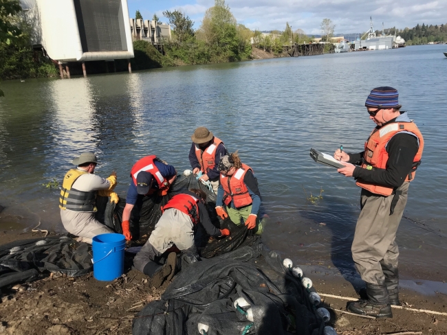 A man overseeing a group of people working with netting on a shoreline.
