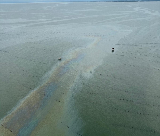 Aerial view of an offshore oil slick traveling through mussel aquaculture sites.
